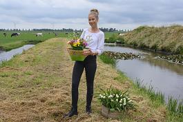 Tulpen algemeen 5