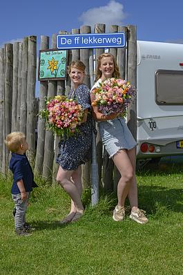 Tulpen algemeen 10