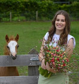 Tulpen algemeen 15