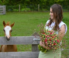 Tulpen algemeen 14