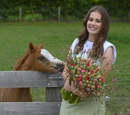Tulpen algemeen 13