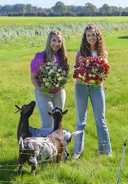 Tulpen algemeen 0