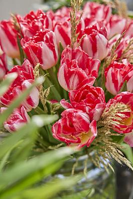 Pink Delight® 19