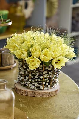 Rebellious Yellow® 0