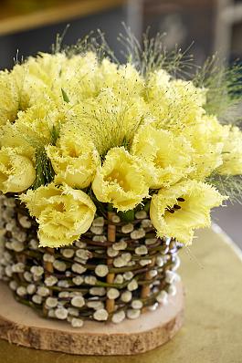Rebellious Yellow® 19
