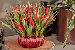 Red Magic® 11