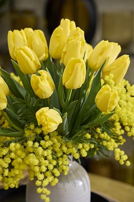 Yellowstrike® 16